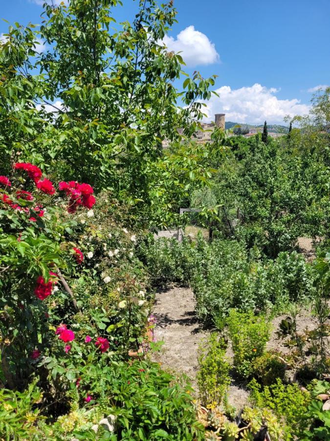Comfort, Parcheggio E Balcone Su Tricarico In Basilicata, Io Sono Qui Exterior foto